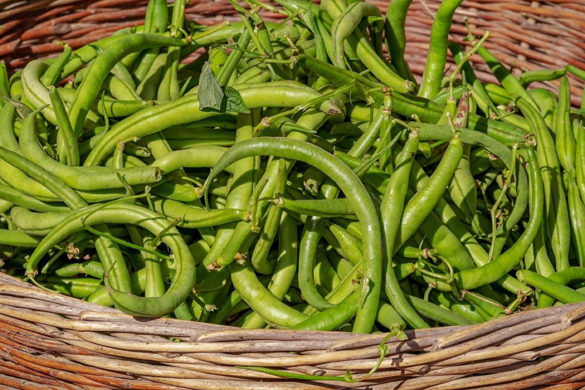 Astuces pour acheter bio et végétal sans exploser le budget