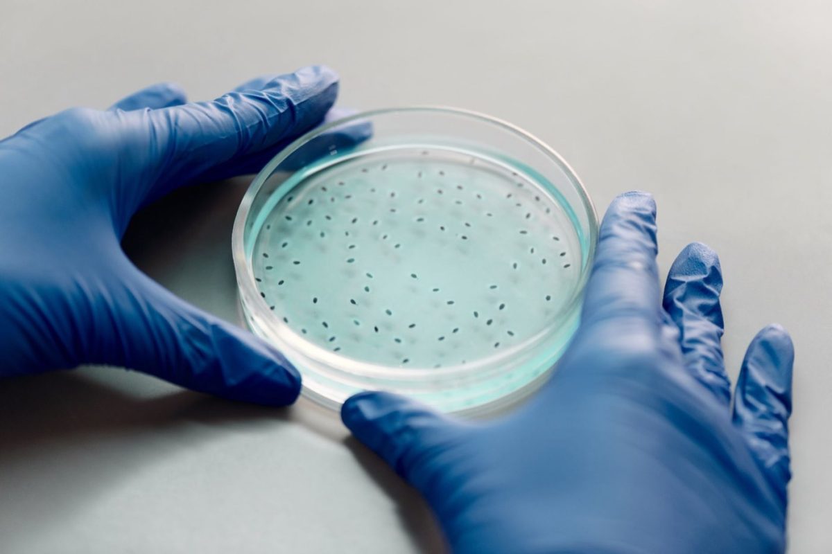 Impact des fibres végétales sur digestion et microbiote