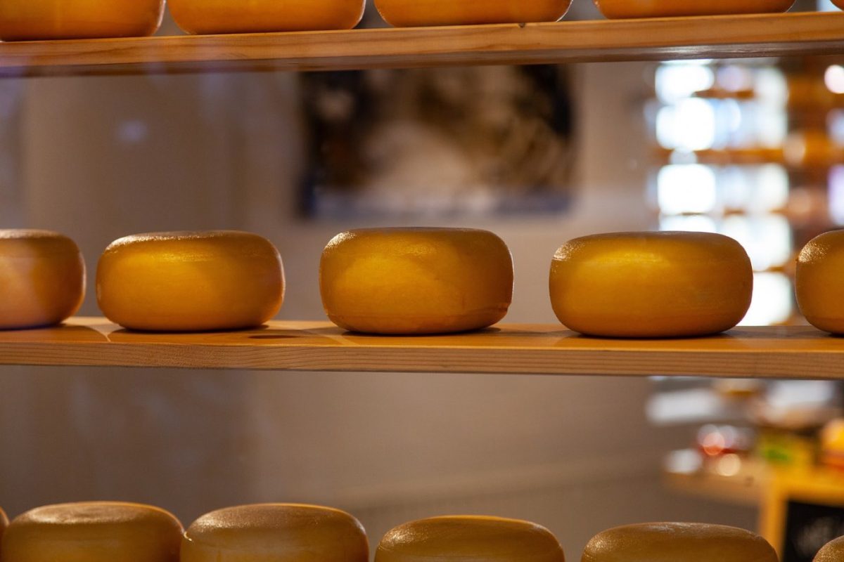 Avis sur les gammes Garden Gourmet végétales en supermarché