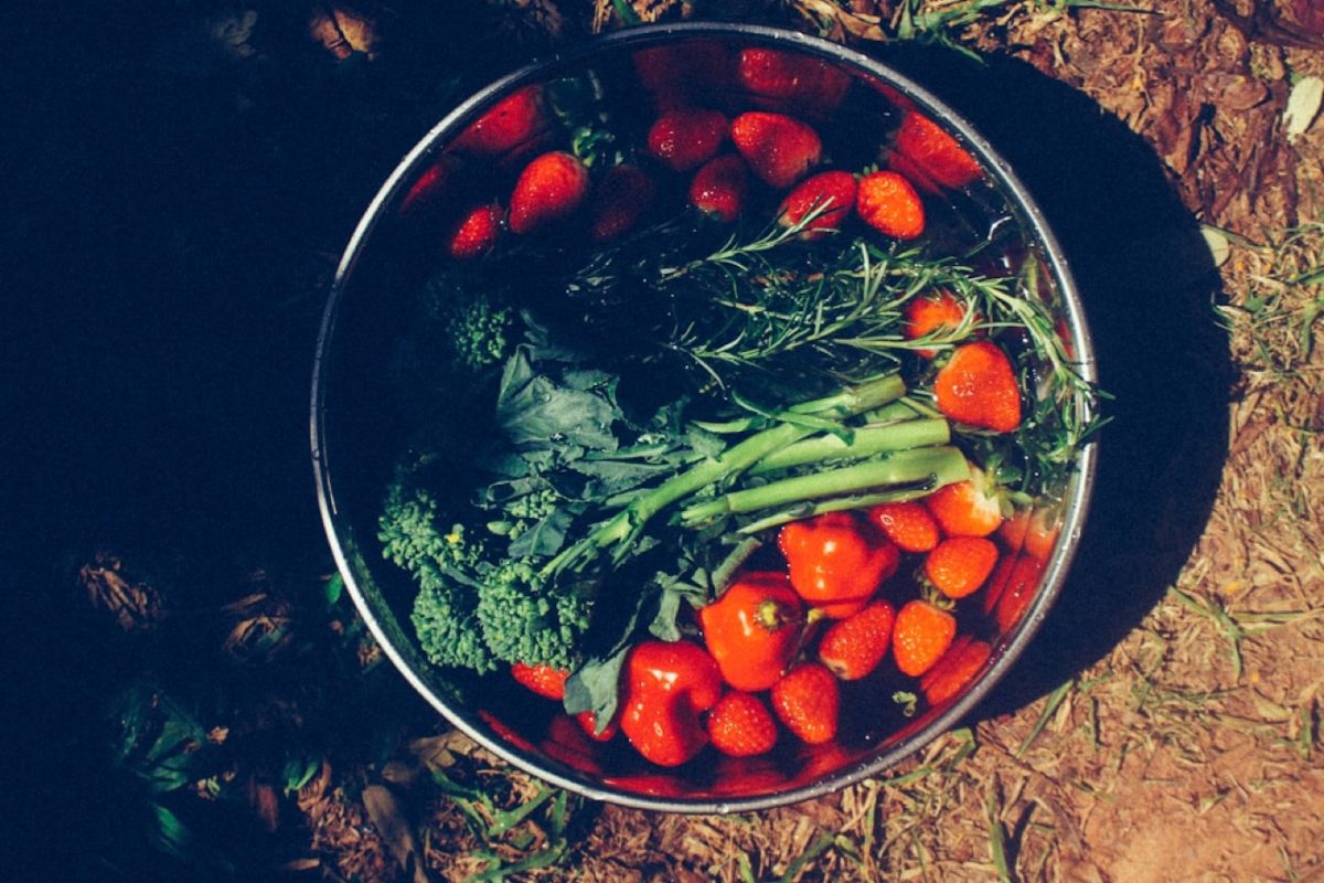Cuisine végétarienne et microbiote intestinal : mécanismes et
