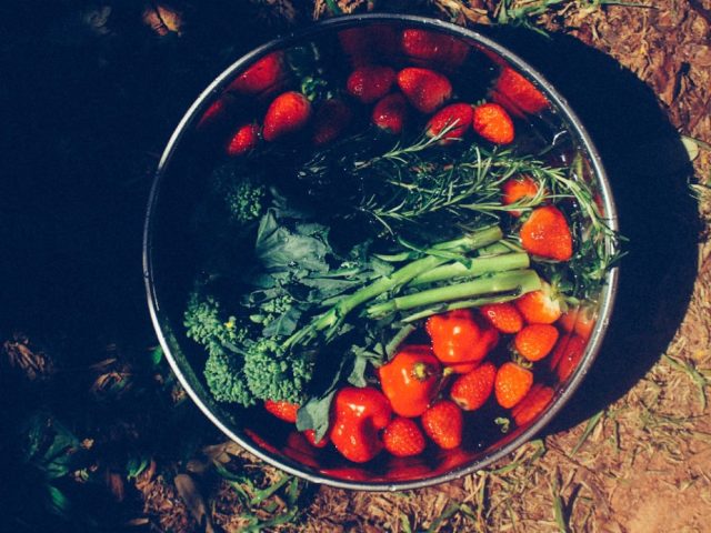 Cuisine végétarienne et microbiote intestinal : mécanismes et