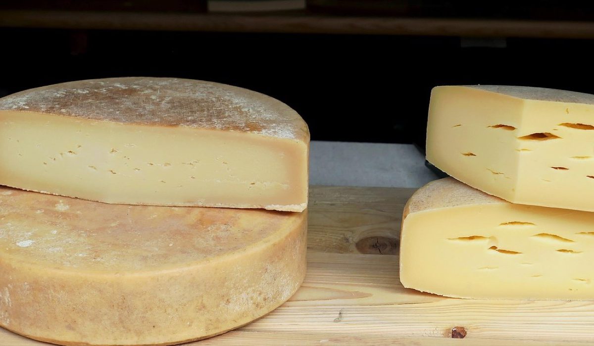 Jay & Joy ou Les Nouveaux Affineurs : quel fromage végétal