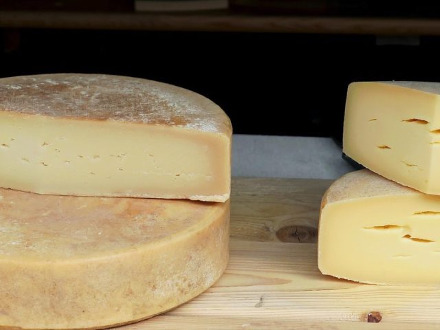 Jay & Joy ou Les Nouveaux Affineurs : quel fromage végétal