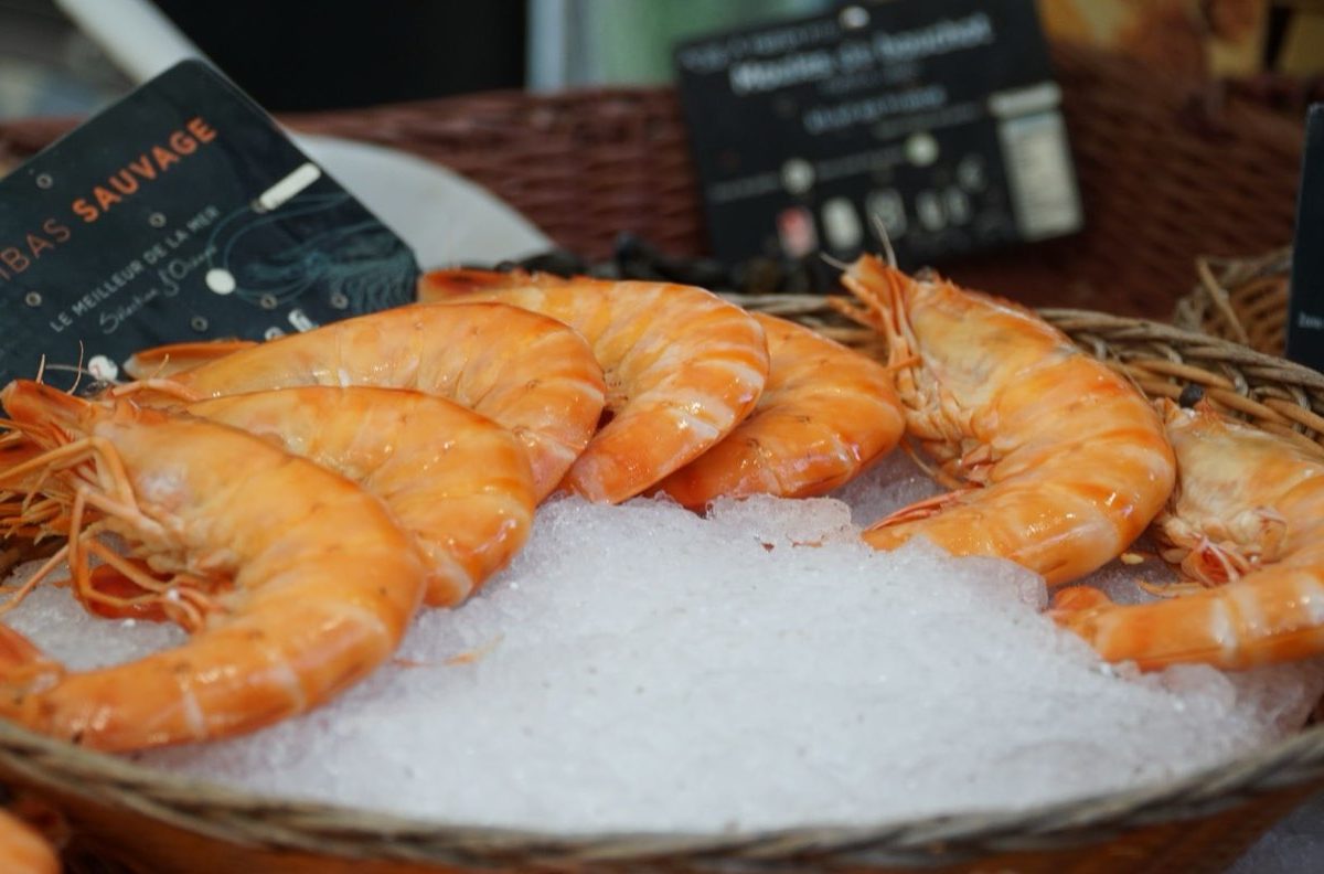 Meilleurs repas préparés maison pas cher