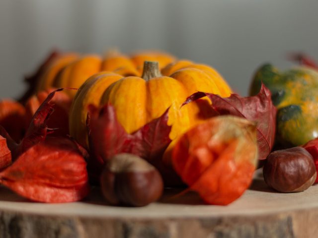 Comment intégrer des légumes de saison dans vos repas d’automne ?