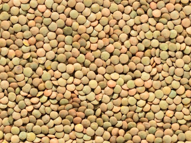 Intégrer les lentilles dans votre alimentation pour une meilleure santé