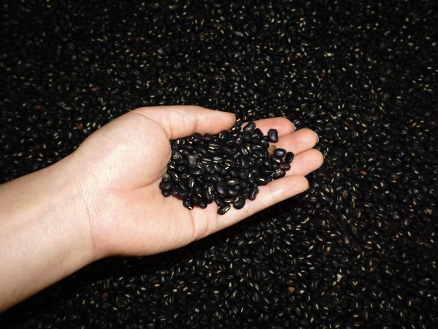 Les haricots noirs : comment leur richesse nutritionnelle booste votre bien-être