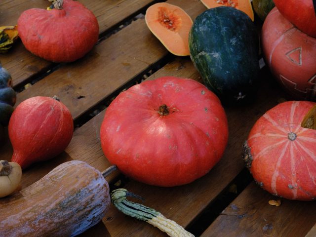 Riz jollof aux haricots : pourquoi l’essayer cet automne pour vos repas ?