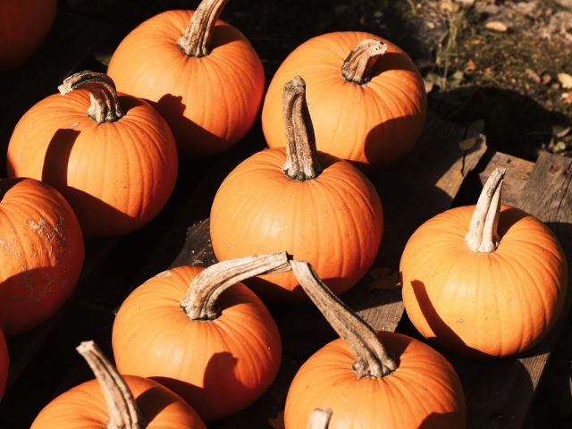 Comment savourer l’automne avec des recettes végétales inspirantes ?