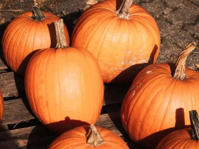 Les courges, alliées méconnues pour renforcer votre immunité cet hiver