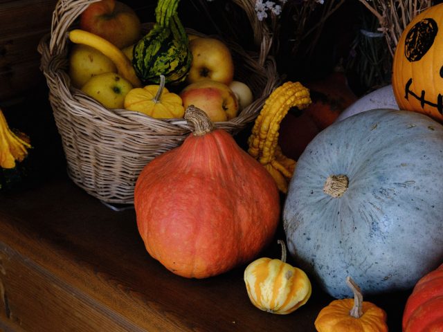 Comment intégrer les saveurs automnales dans votre cuisine végétale ?
