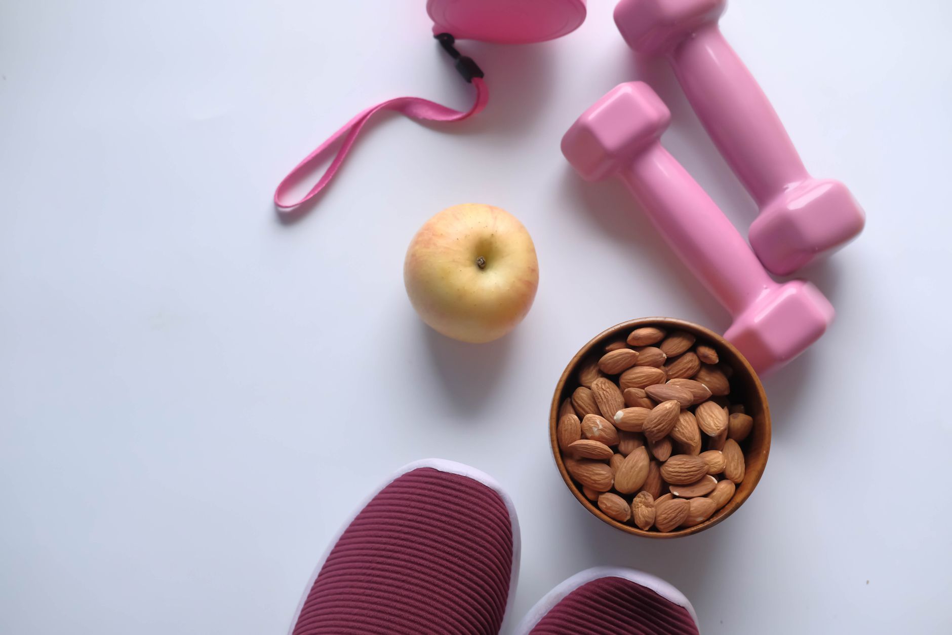 Comparatif des poudres de protéines végétales pour récupération