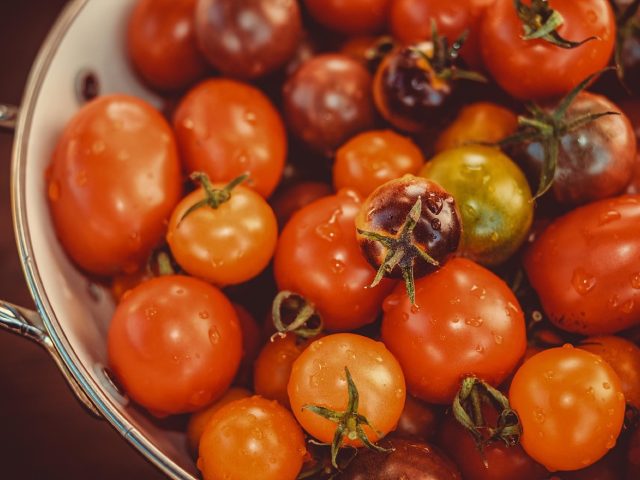 Tofu soyeux ou ferme : lequel choisir ?